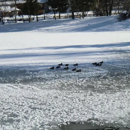 Appartement In Stubaital Near Lift